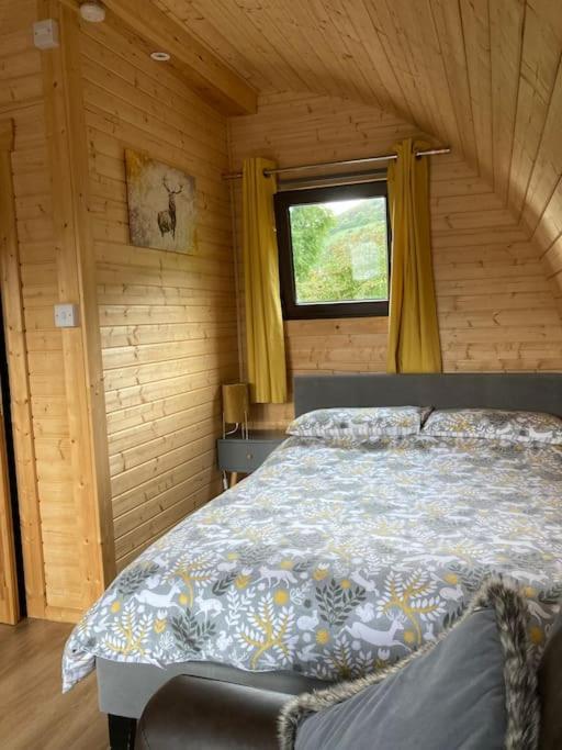 The Fox'S Den, Luxury Cosy Mini Lodge, Highlands North Ballachulish Екстер'єр фото