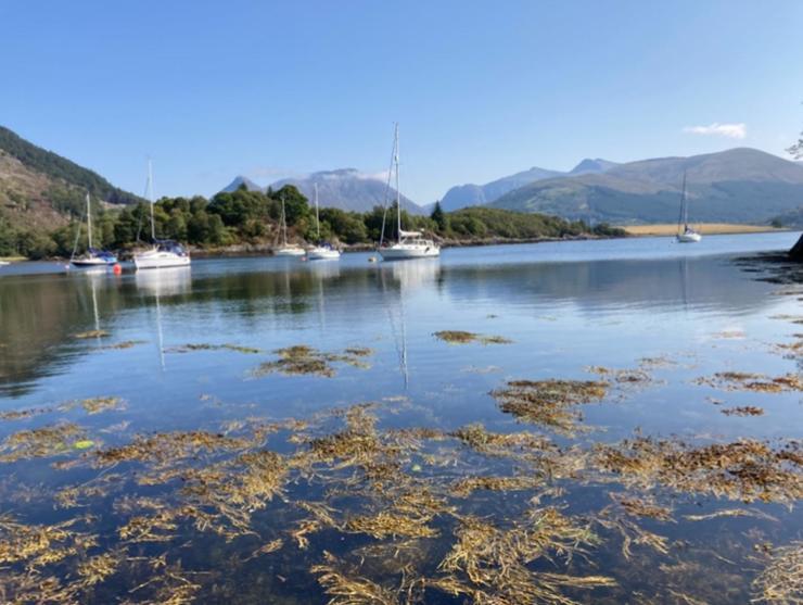 The Fox'S Den, Luxury Cosy Mini Lodge, Highlands North Ballachulish Екстер'єр фото